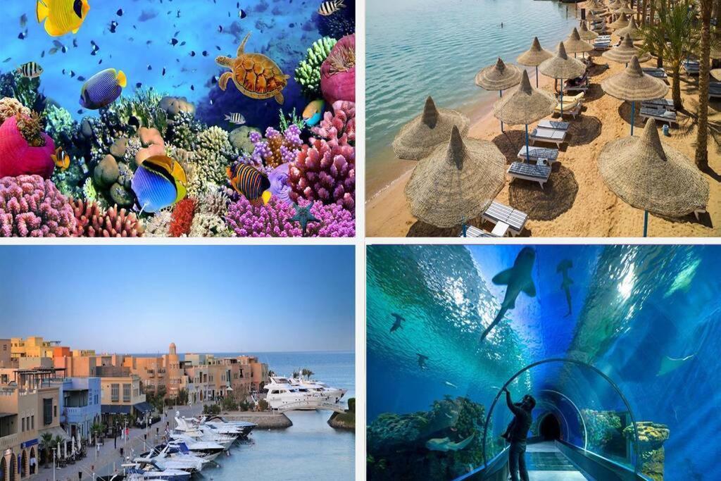 201Sheraton Plaza Hurghada Exteriér fotografie